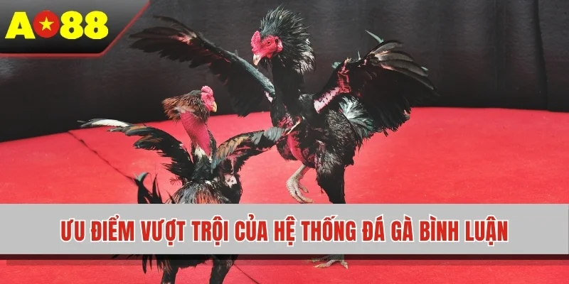 Ưu điểm vượt trội của hệ thống đá gà bình luận